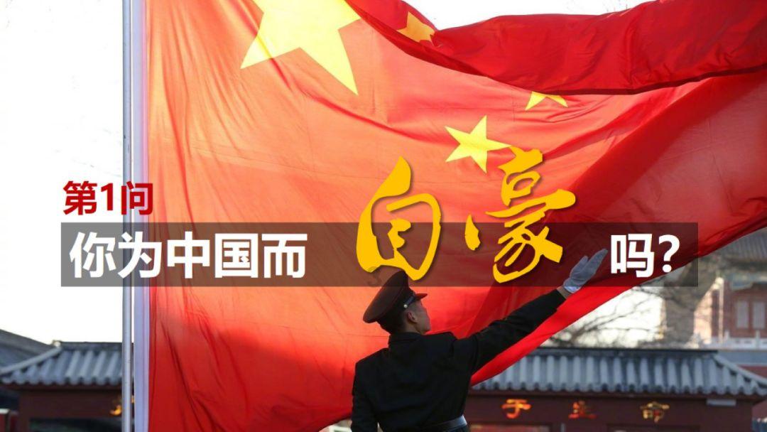 动物狂欢夜